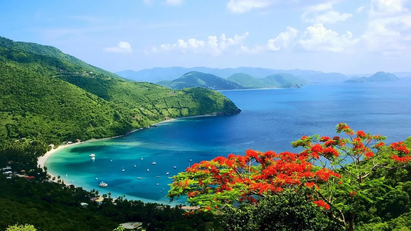 创意高性能先进
